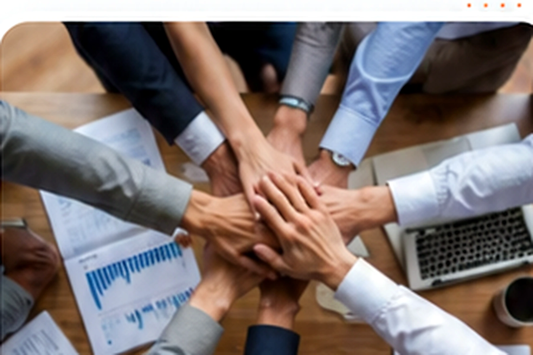 Expert Team